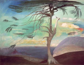De eenzame ceder, 1907